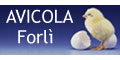 Vai al sito www.avicola-forli.com